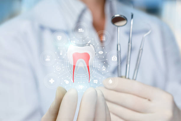 Best Traditional Braces  in Westmere, NY